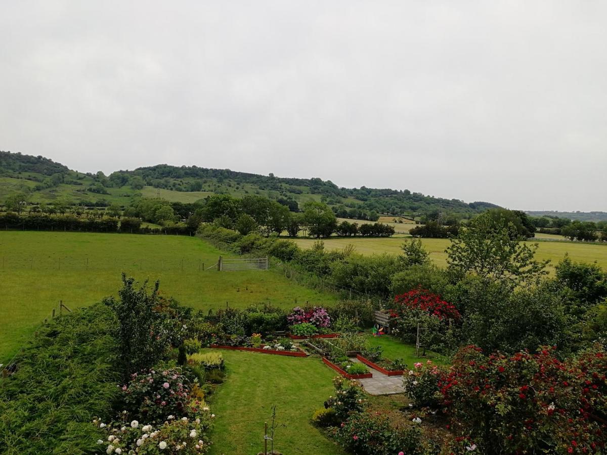Fox Heaven B&B Carrickfergus Bagian luar foto