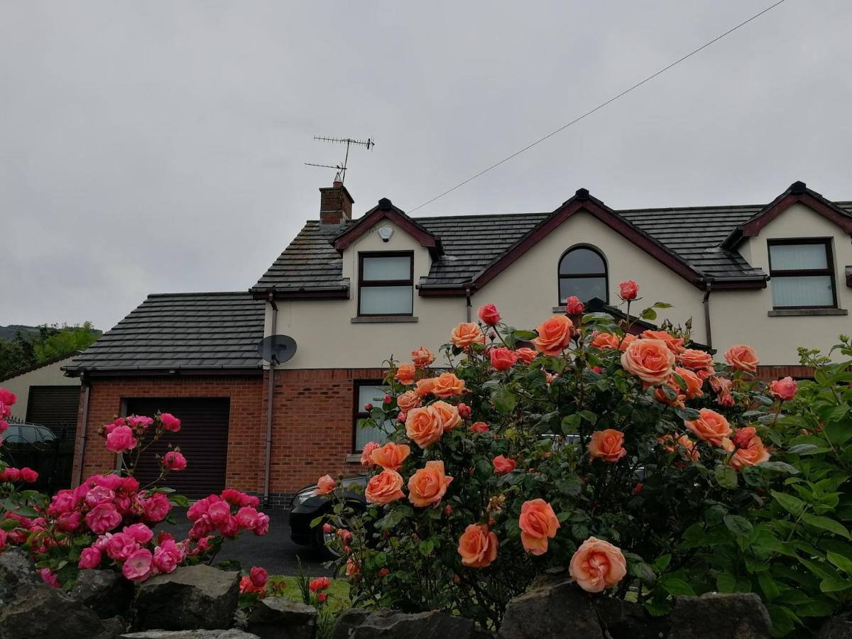 Fox Heaven B&B Carrickfergus Bagian luar foto