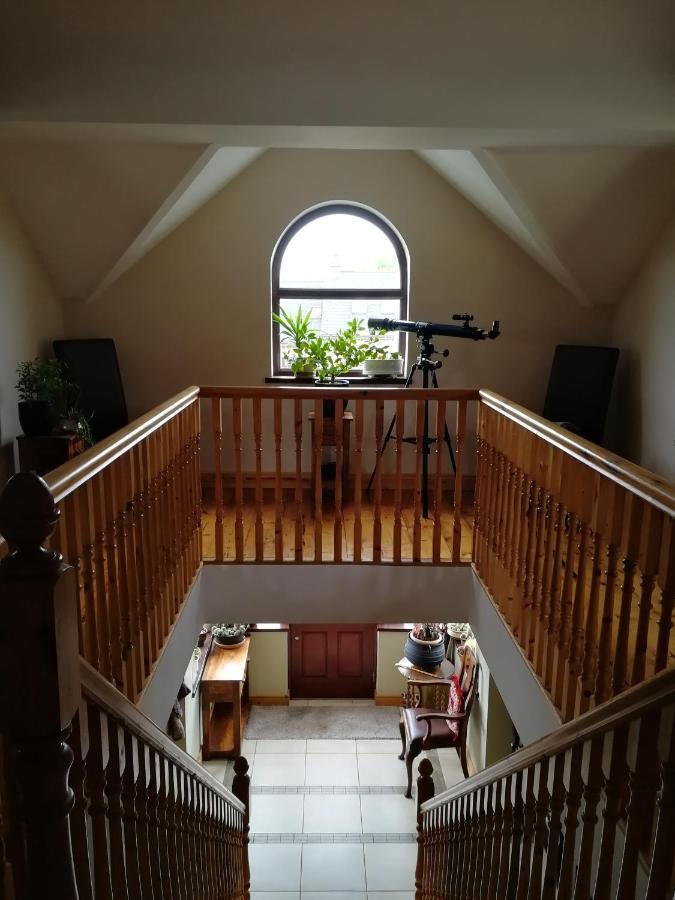 Fox Heaven B&B Carrickfergus Bagian luar foto